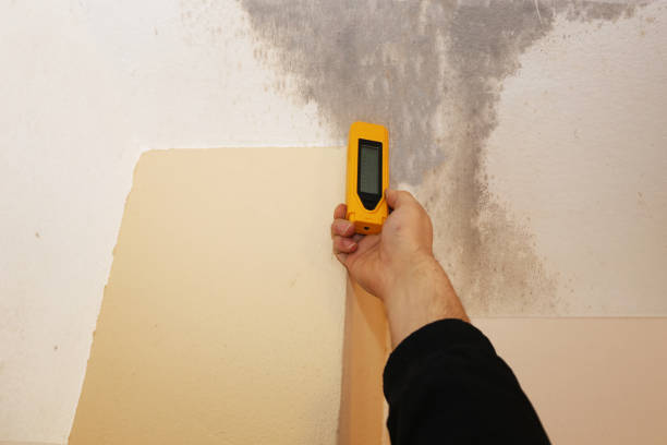 Best Water Damage & Mold Remediation  in Morristown, NJ