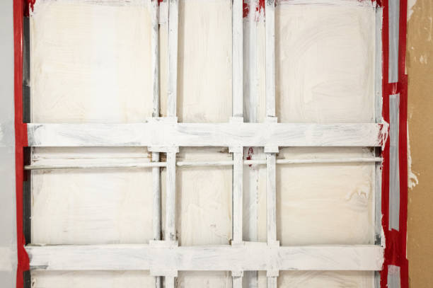 Best Environmental Consulting for Mold Prevention  in Morristown, NJ