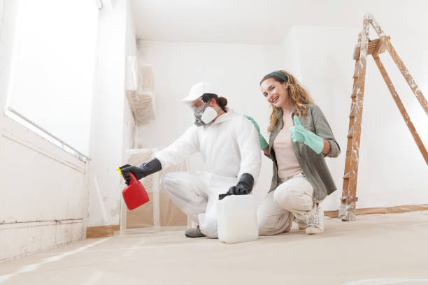 Best Mold-Related Health Consultation  in Morristown, NJ